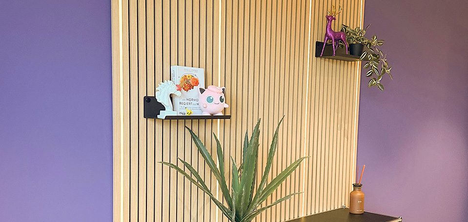 Eine montierte Akustikpaneel-Wand mit 4 LED-Streifen die leuchten und zwei Regalen mit Figuren und Pflanzen - davor ein Sideboard mit einer Pflande darauf.