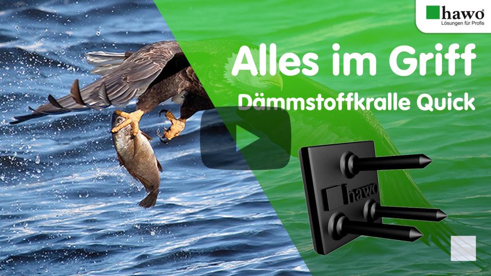 Seeadler mit Fisch in seinen Krallen fliegt über das Meer