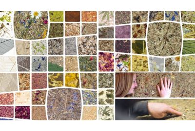 Organoid Naturoberflächen<br>Bewusst Natur - 100% naturbewusst
