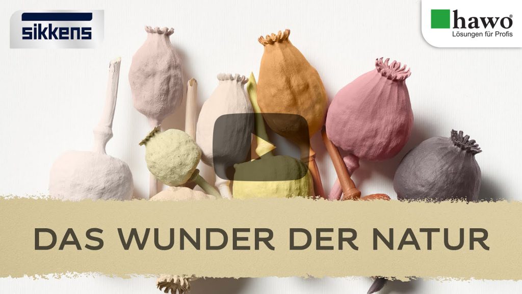 Titelbild zum YouTube-Video: Das Wunder der Natur mit Mohnsamenkapseln in verschiedenen Farben