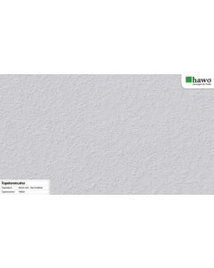 Erfurt Rauhfaser PRO