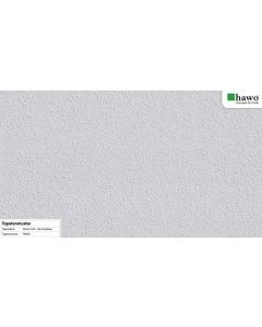 Erfurt Rauhfaser PRO