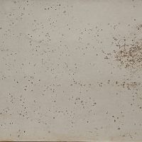 Wall Rapture 140