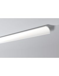 nmc Nomastyl plus B1