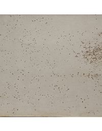 Wall Rapture 140