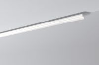 nmc Nomastyl plus F