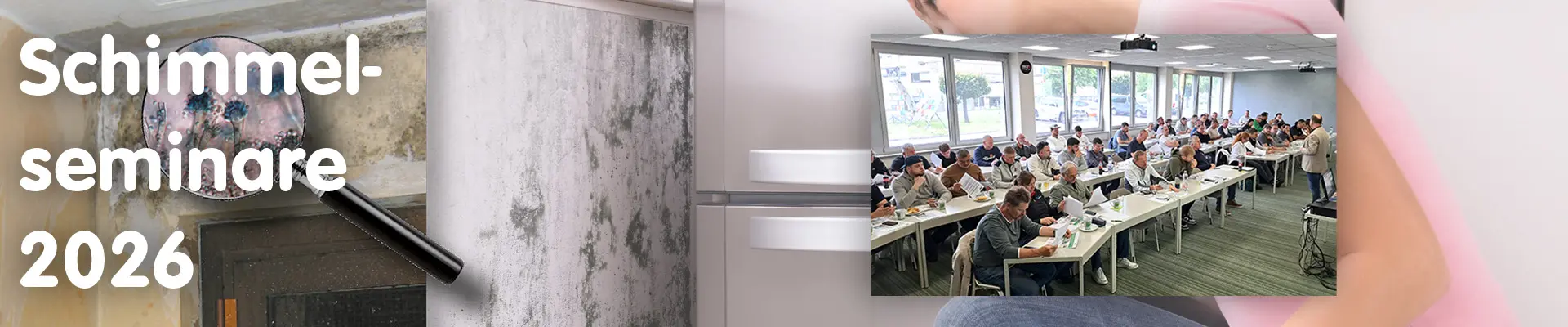 Schimmelseminare 2026 - Verzweifelte Frau schaut auf eine mit Schimmel befallene Wand - Seminarteilnehmer im hawo Seminarraum