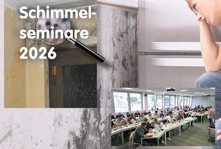 Schimmelseminare 2026 - Verzweifelte Frau schaut auf eine mit Schimmel befallene Wand - Seminarteilnehmer im hawo Seminarraum